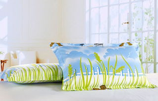 夏日舒眠好物推荐 香怡佳清新情侣蚊帐与及格韵藤席三件套的完美组合